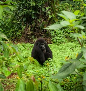 Responsible Tourism