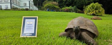 Jonathan the tortoise